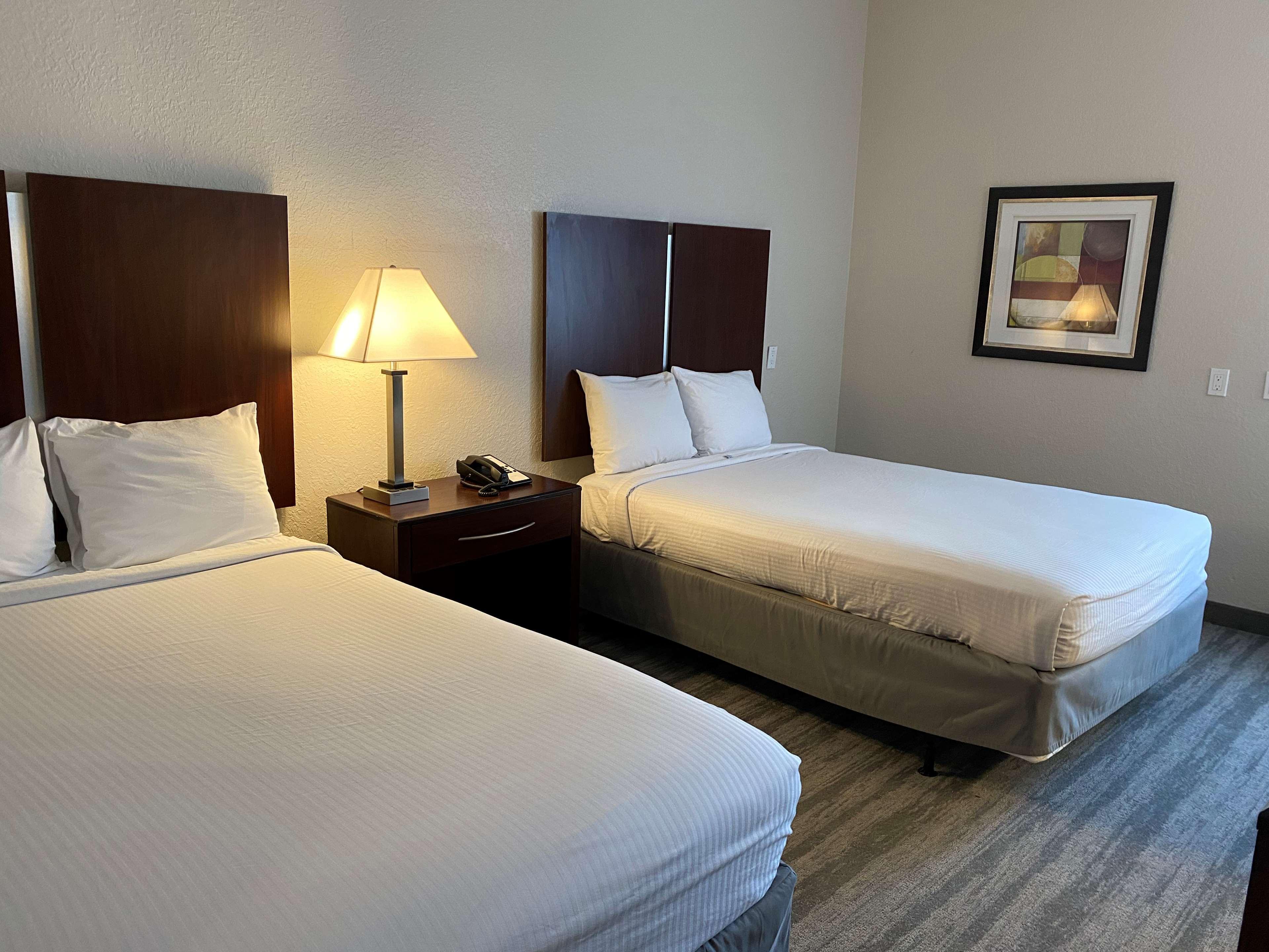 Best Western טאמפה מראה חיצוני תמונה