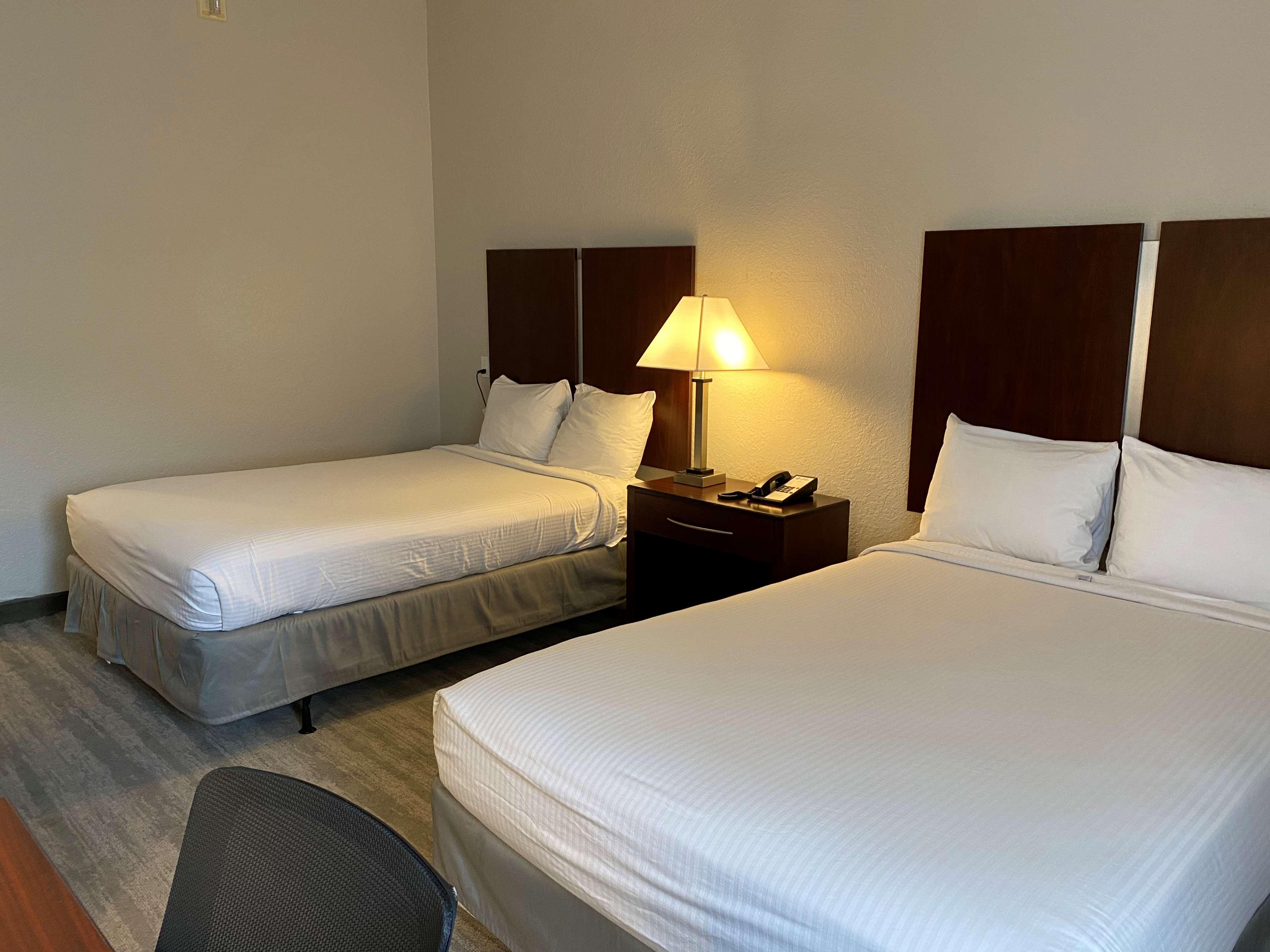 Best Western טאמפה מראה חיצוני תמונה